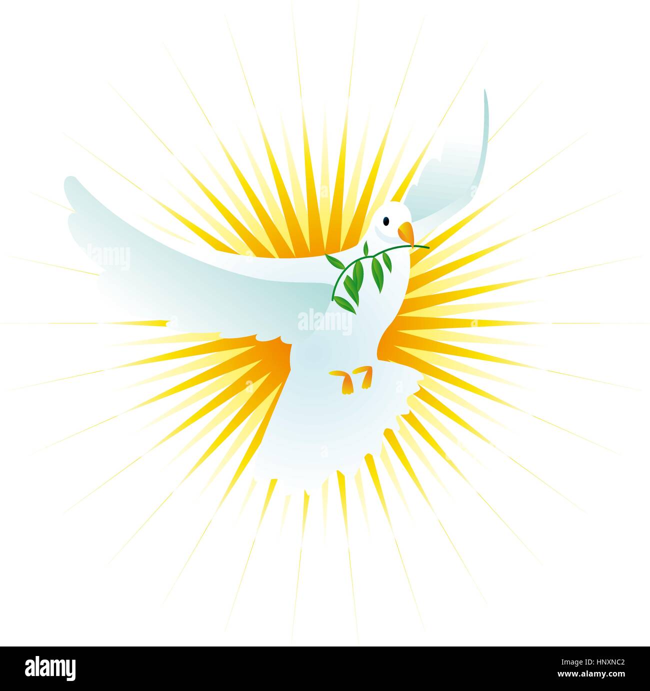 The peace holy spirit dove, realistic illustration, can be used with religious purposes too. Stock Vector