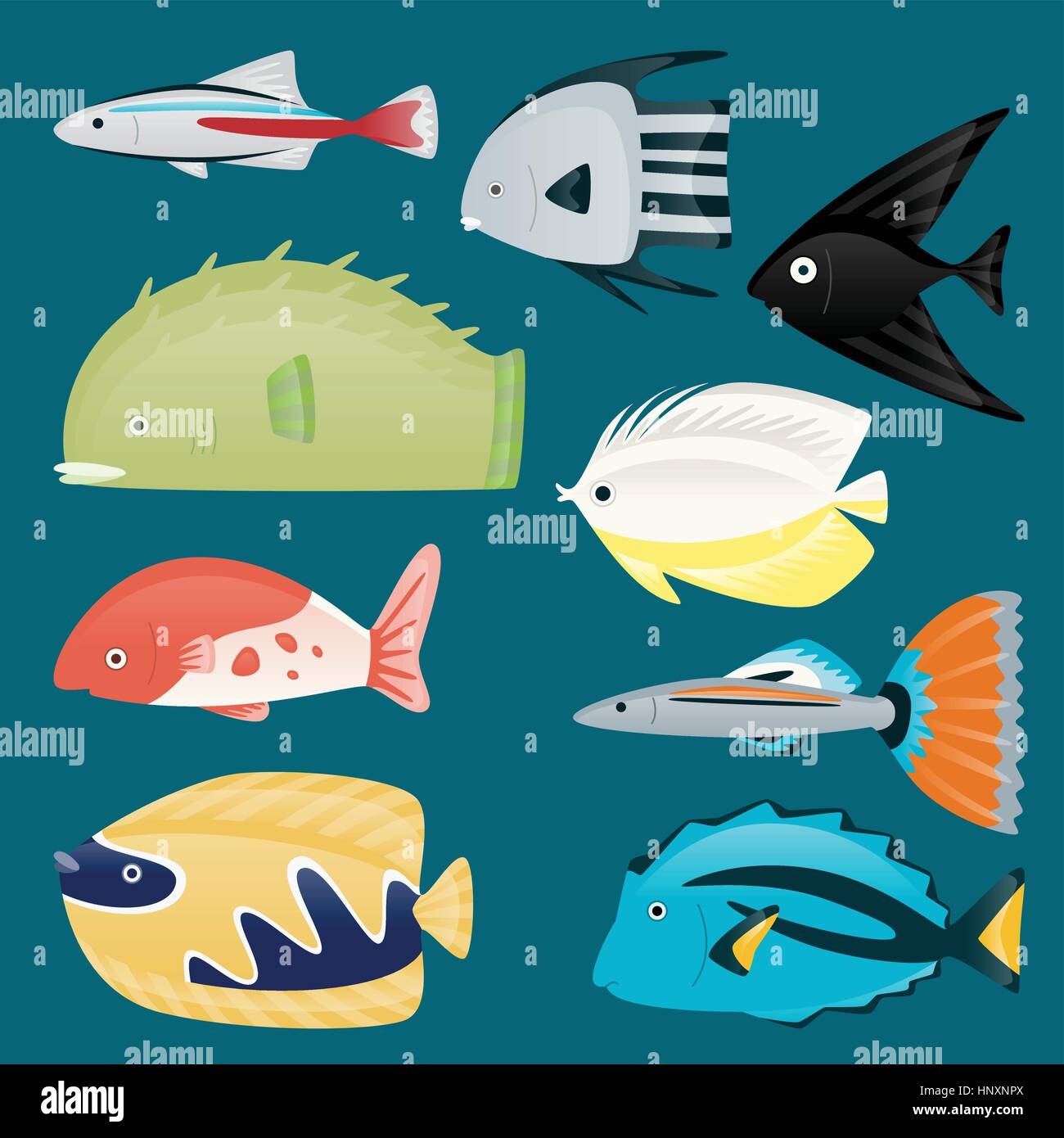 Deep water sea tropical aquatic marine fish set, Fantail Guppy, The Molly, Neon Tetras, Danios, Barbs, Bettas, Gouramis, Plecostomus, Oscars, Angelfis Stock Vector