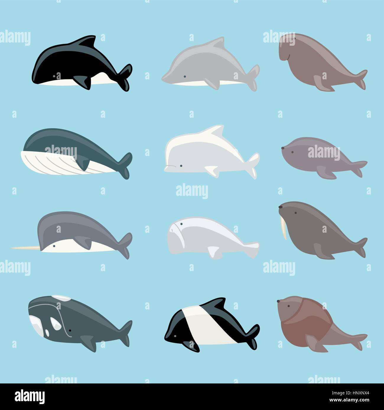 Marine mammals icon collection, with whale, dolphin, manatee, beluga, killer whale, narwhal, walrus, sea lion, blue whale vector illustration. Stock Vector