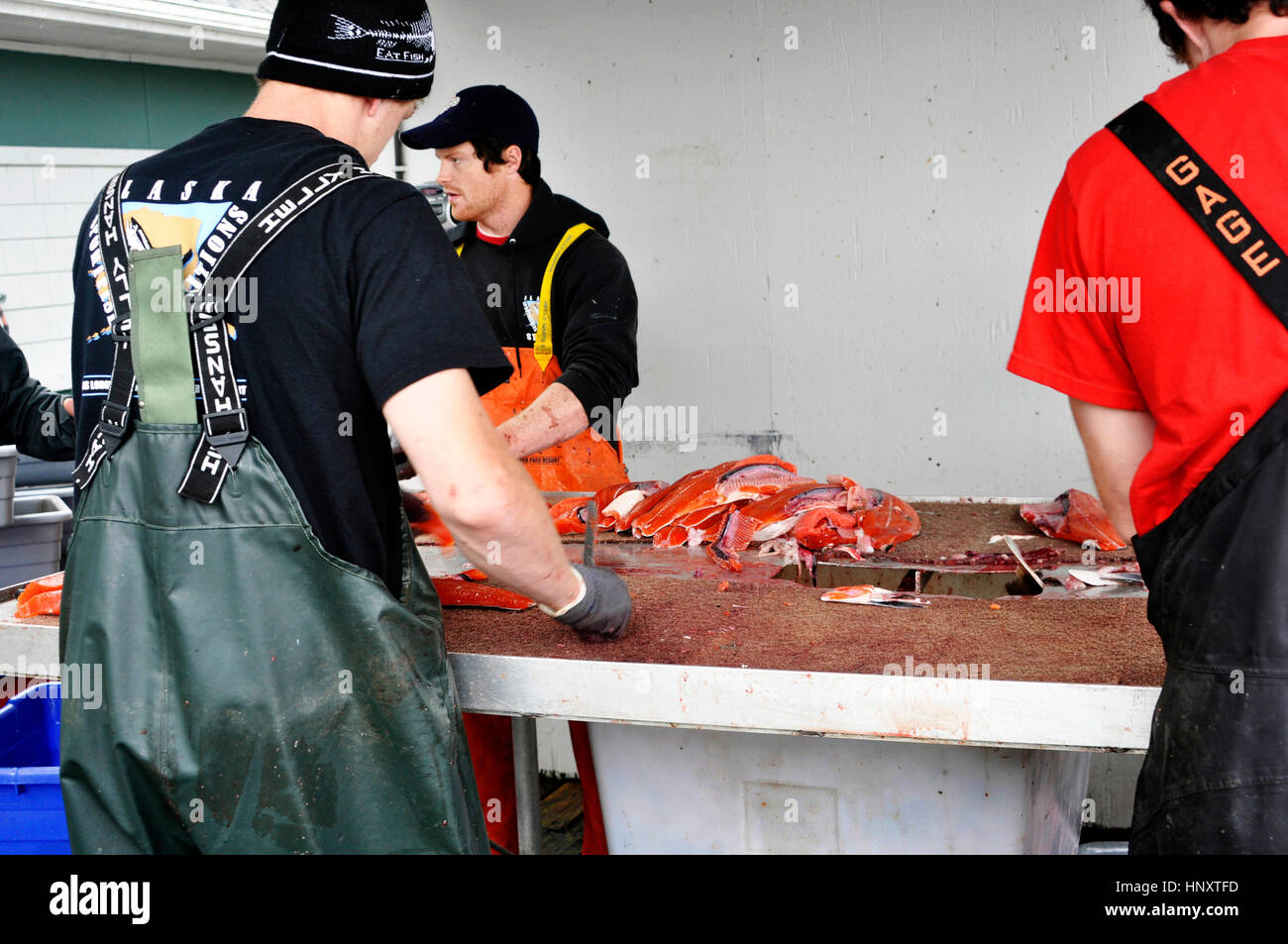 Four young people cleaning the salmon after fishing in Ketchikan