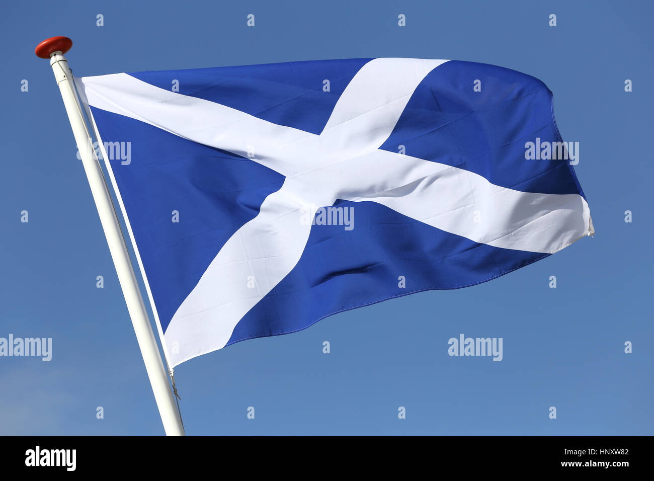 Scottish flag flying in the wind Stock Photo