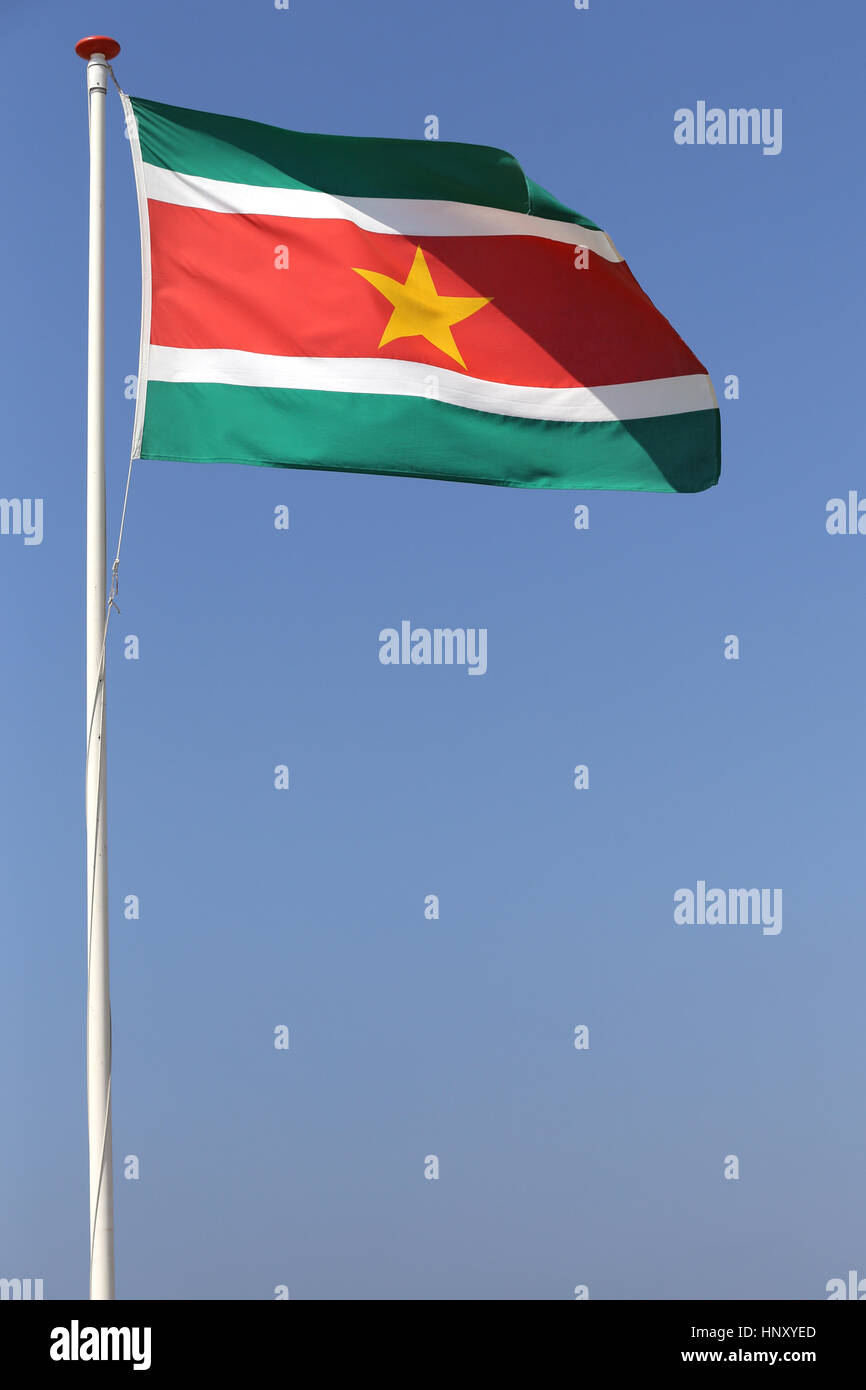 Surinamese flag flying in the wind Stock Photo