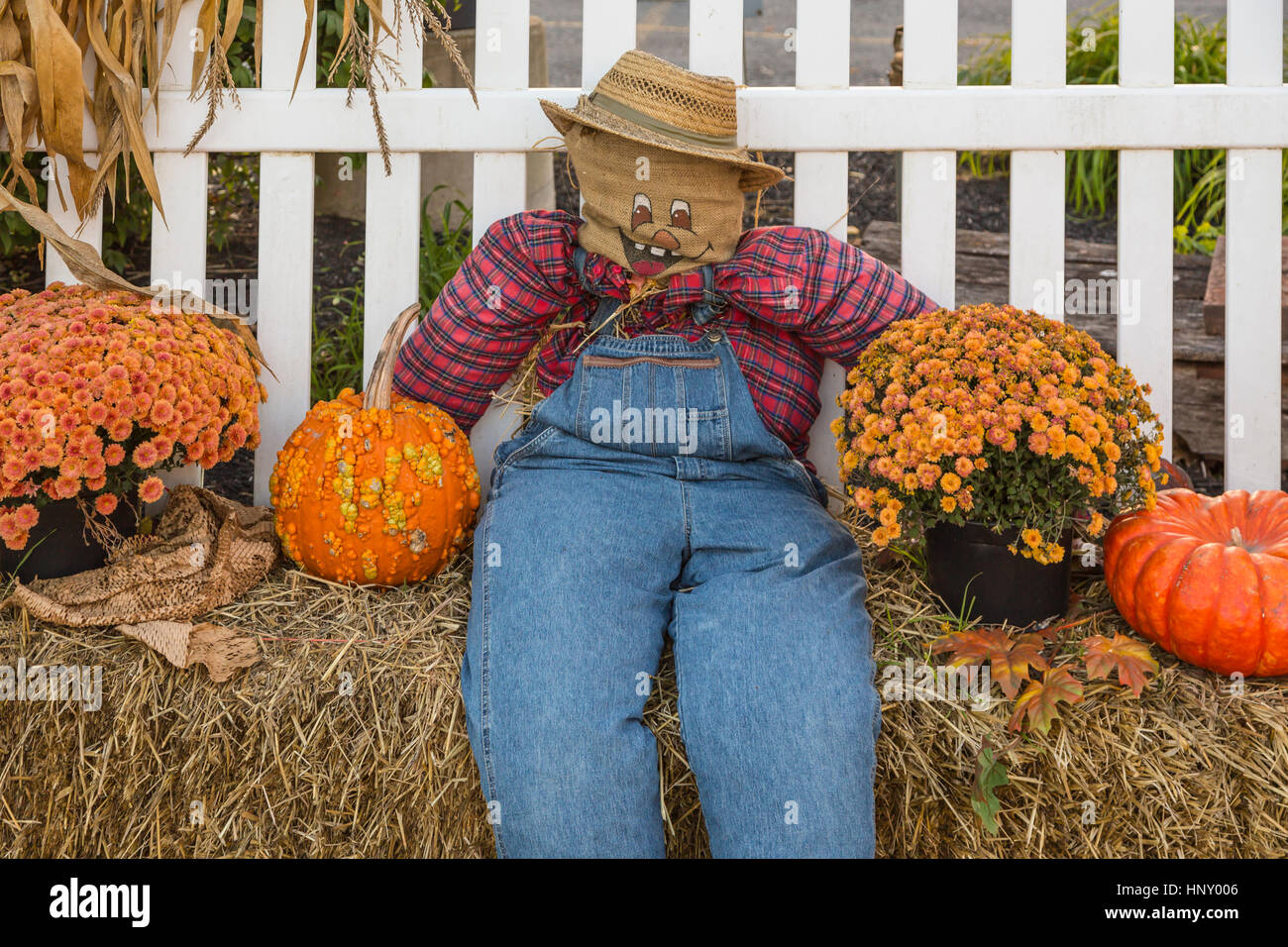 Lehman's Country Store in Dalton, Ohio, USA Stock Photo Alamy