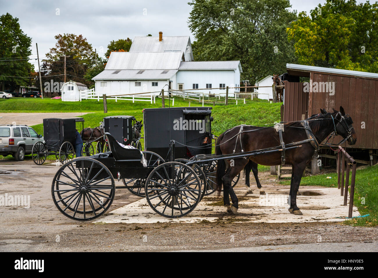 Amish horse and buggies at a hitching post in Dalton, Ohio, USA Stock