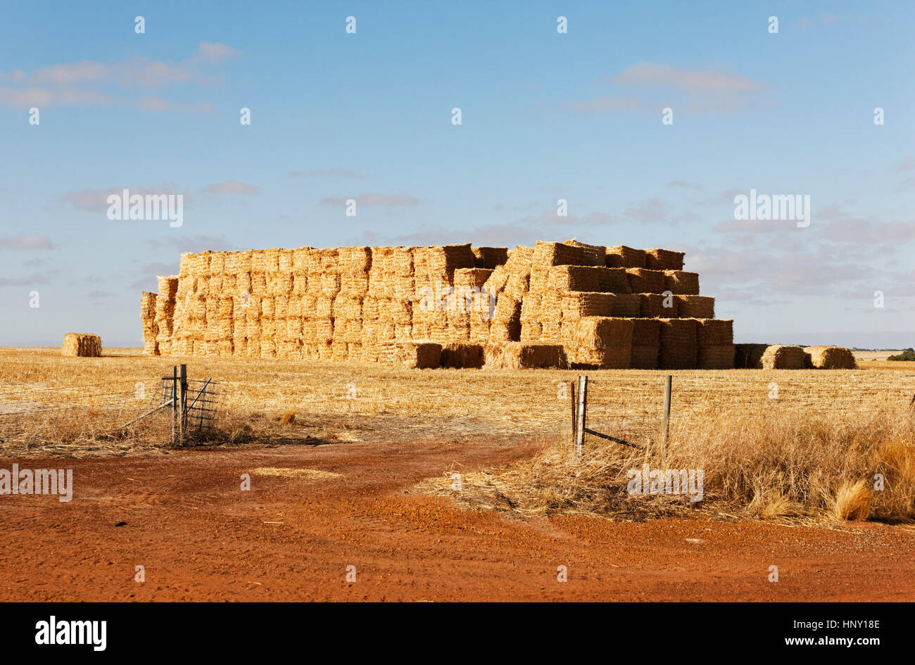 Hay stack on farmland, Western Australia Stock Photo Alamy