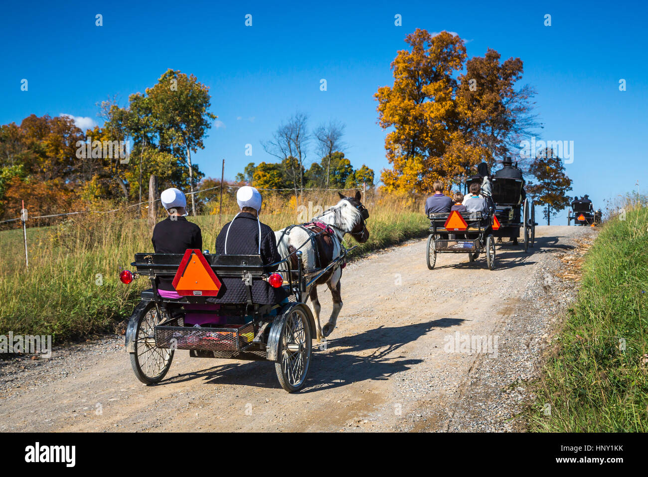 Amish horse and buggies on the roadways of Coshocton County, Ohio, USA. Stock Photo