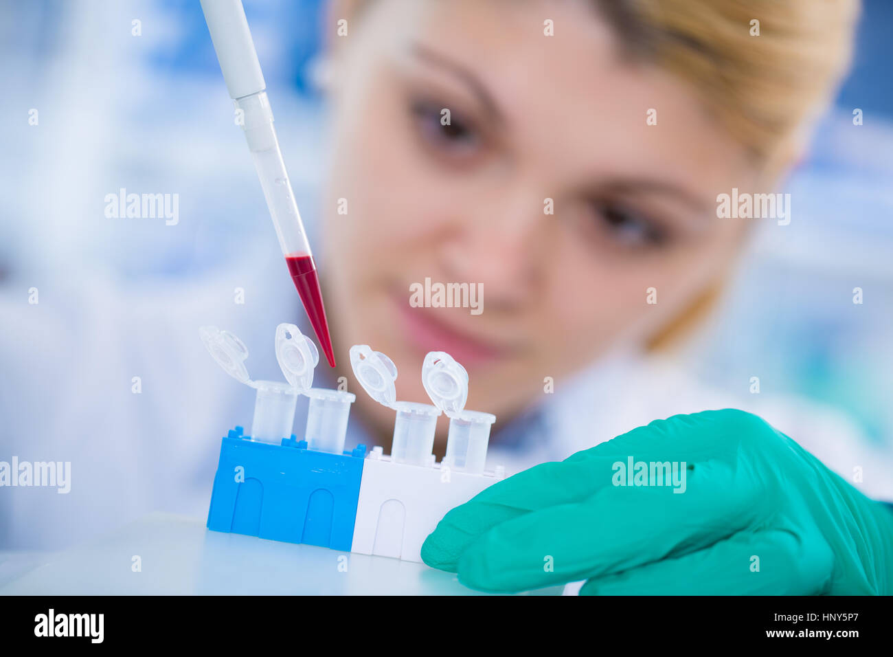 Scientist pipetting sample into test tube during experiment lab hi-res ...