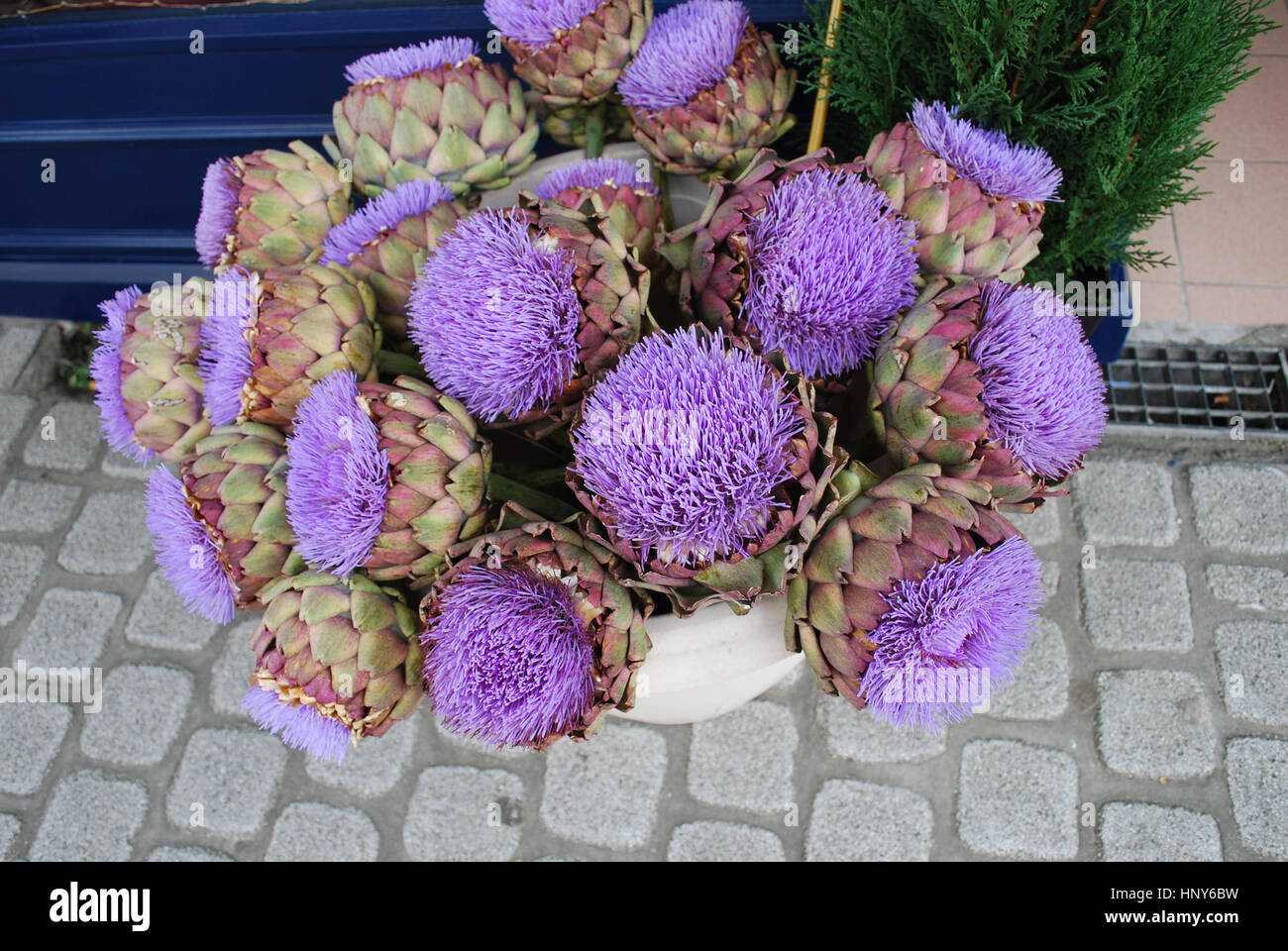 Bouquet of purple flowers of artichoke. Summer Stock Photo Alamy