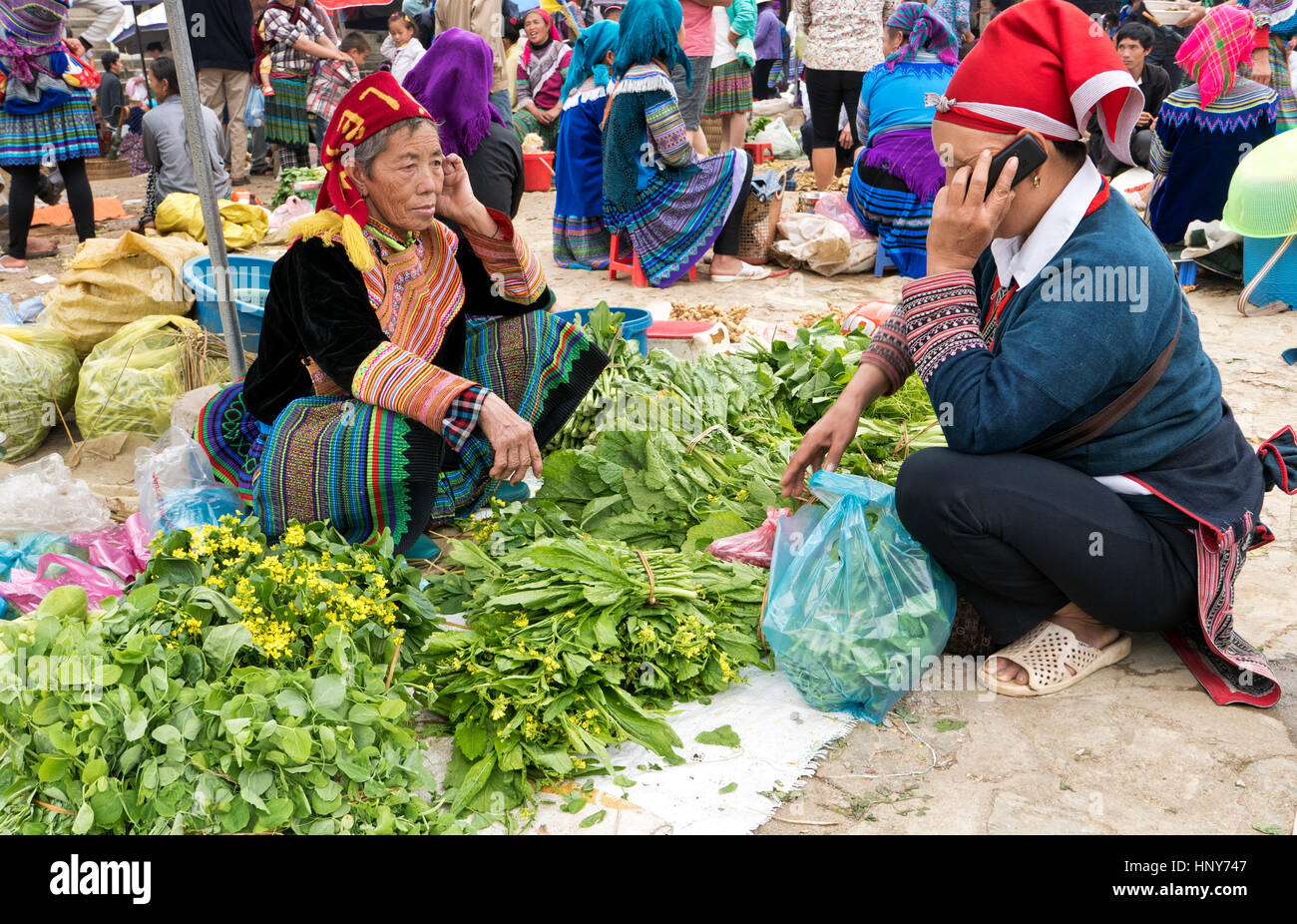 Hmong woman selling her home grown green leafy vegetables,  mefarmers market, customer using her cell phone,  native costumes,  Bac Ha Farmers Market. Stock Photo