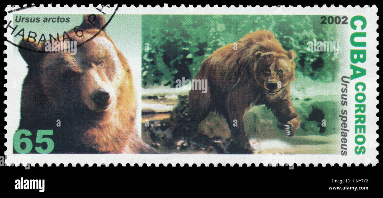 BUDAPEST, HUNGARY - 16 february 2017: stamp printed in CUBA shows image of bear, Ursus arctos and Ursus spelaeus, circa 2002 Stock Photo