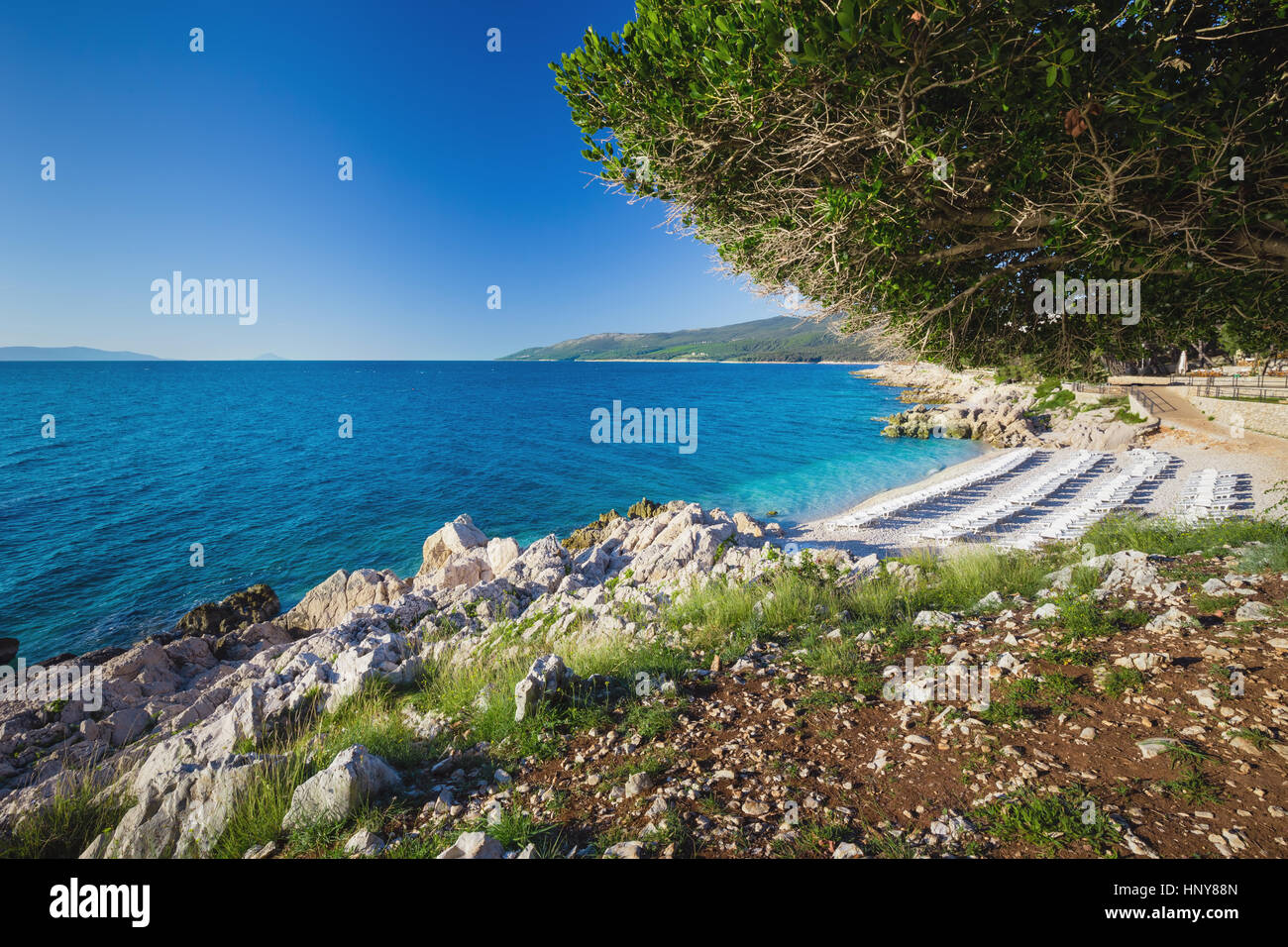 Beach scenery with pine tree in Croatia, Istria, Europe Stock Photo