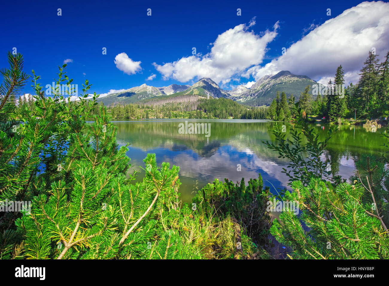 View to Strbske pleso lake in High Tatras during summer, Slovakia, Europe Stock Photo