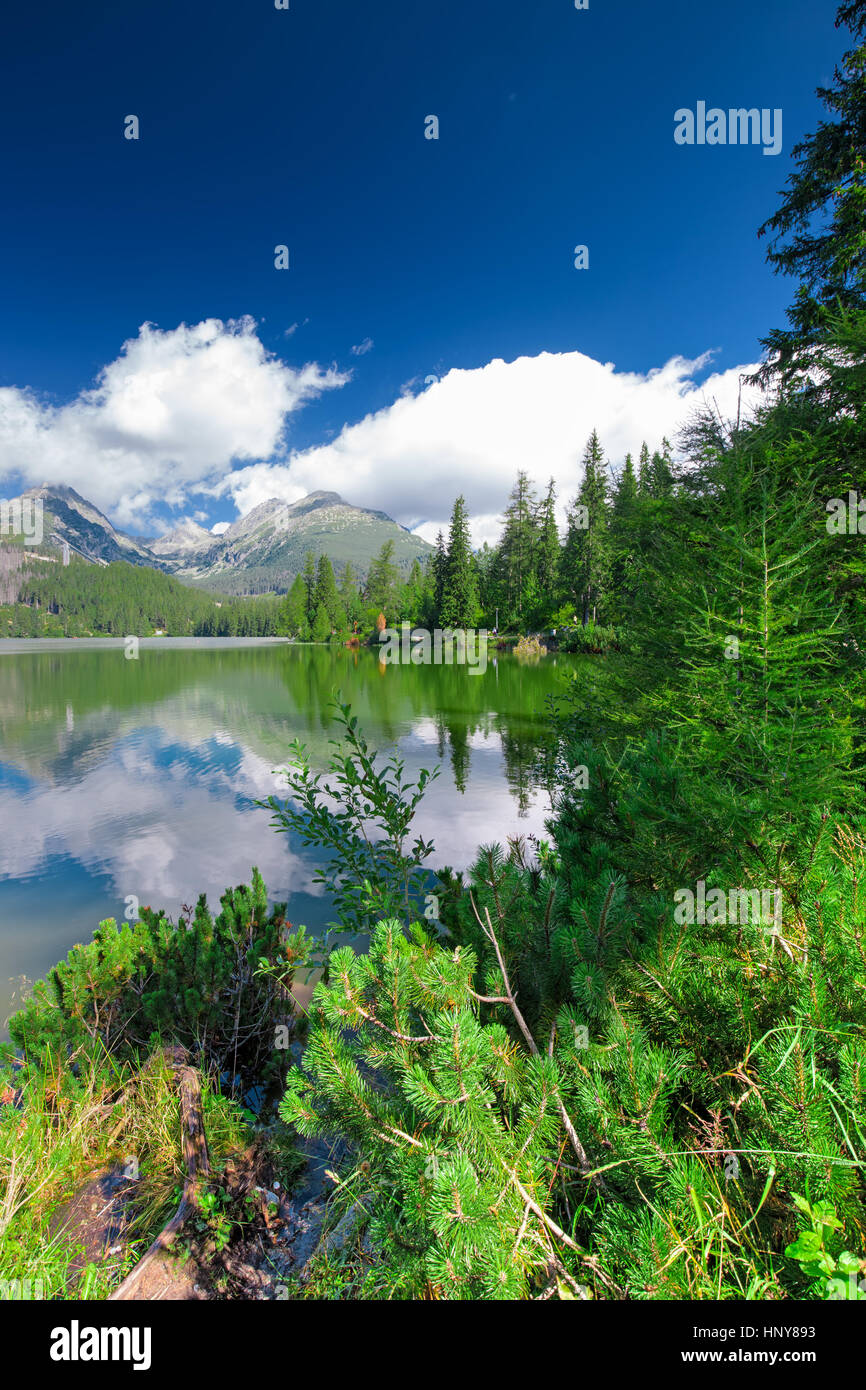 View to Strbske pleso lake in High Tatras during summer, Slovakia, Europe Stock Photo
