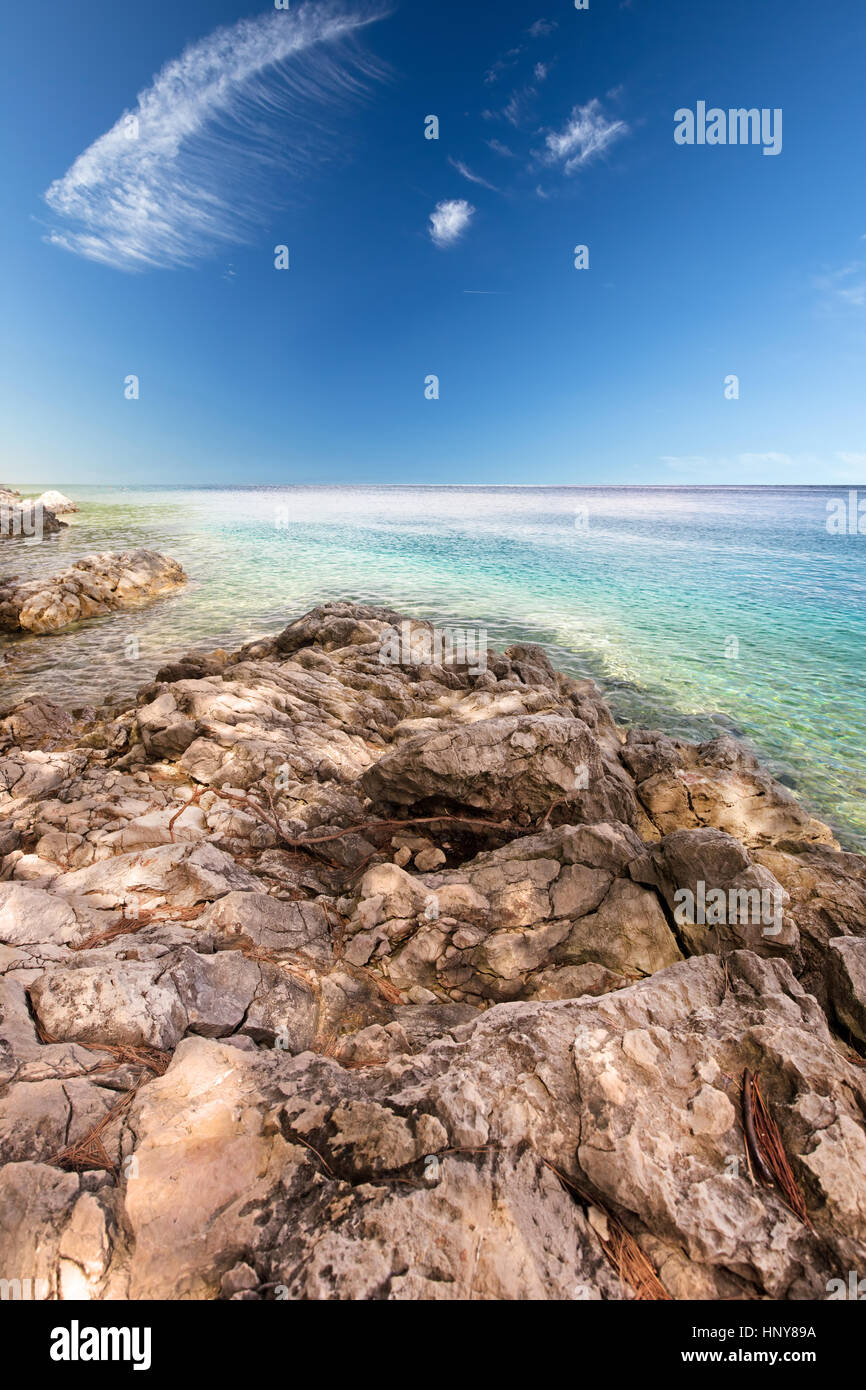 Beach scenery with pine tree in Croatia; Istria; Europe Stock Photo