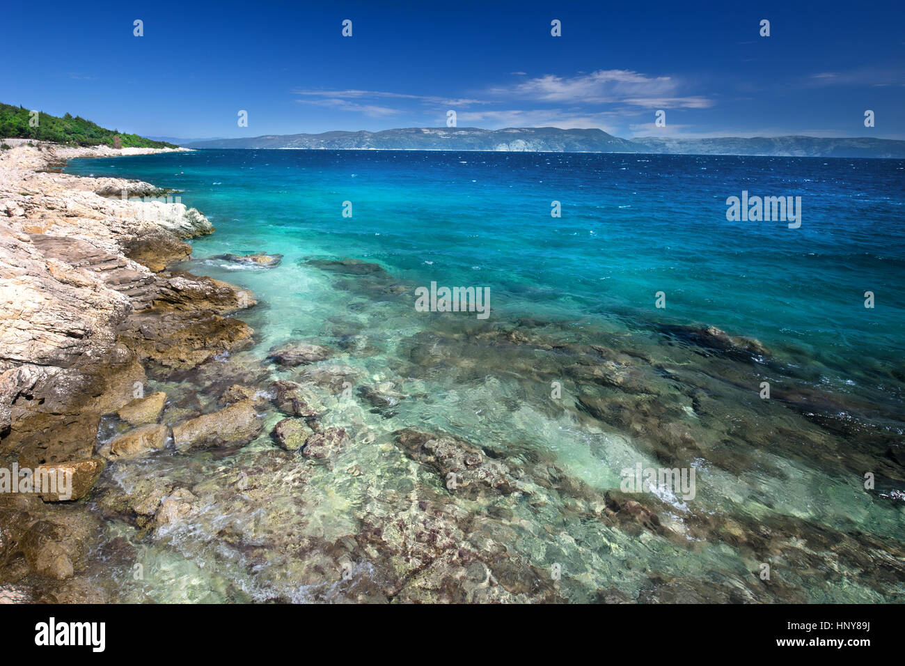 Amazing beach with cristalic clean sea water with pine trees in Croatia Stock Photo