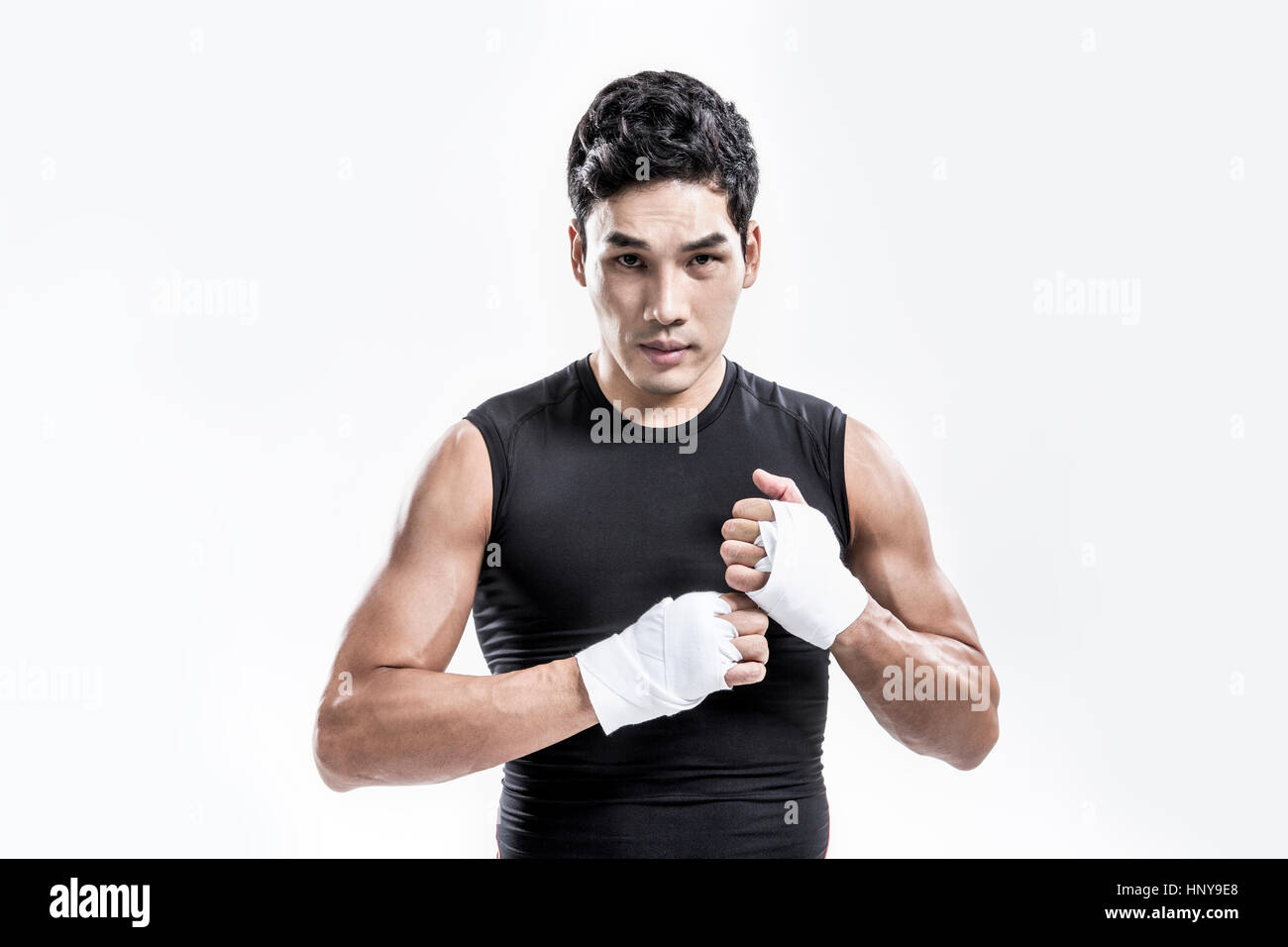 Boxer staring at front Stock Photo Alamy