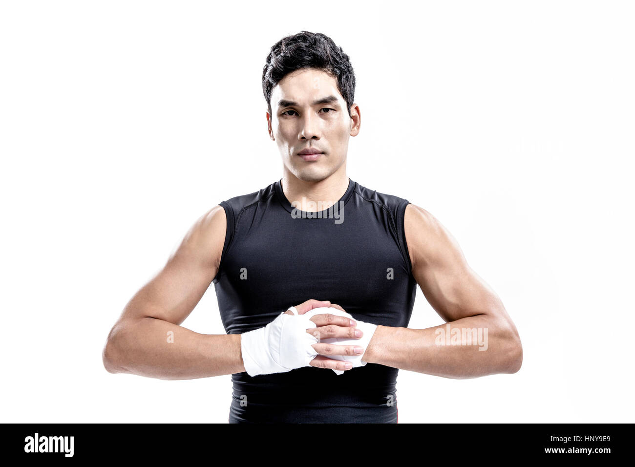 Boxer staring at front Stock Photo Alamy