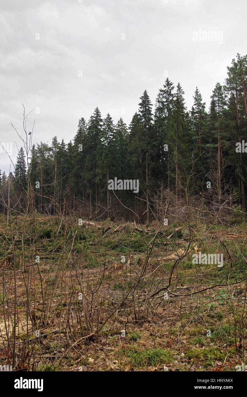 Garbage under soil hi-res stock photography and images - Alamy
