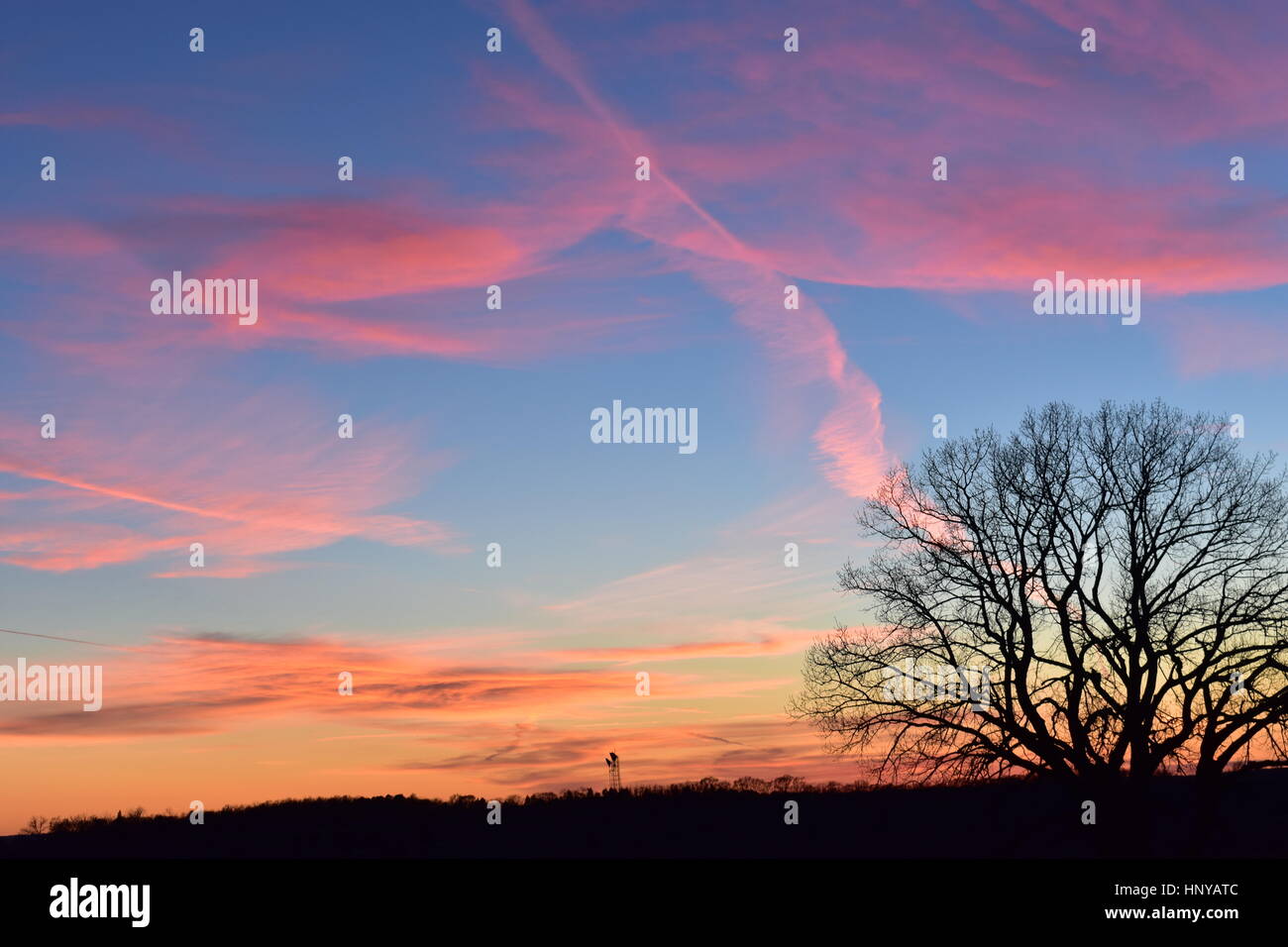 Nebraska tree hi-res stock photography and images - Alamy