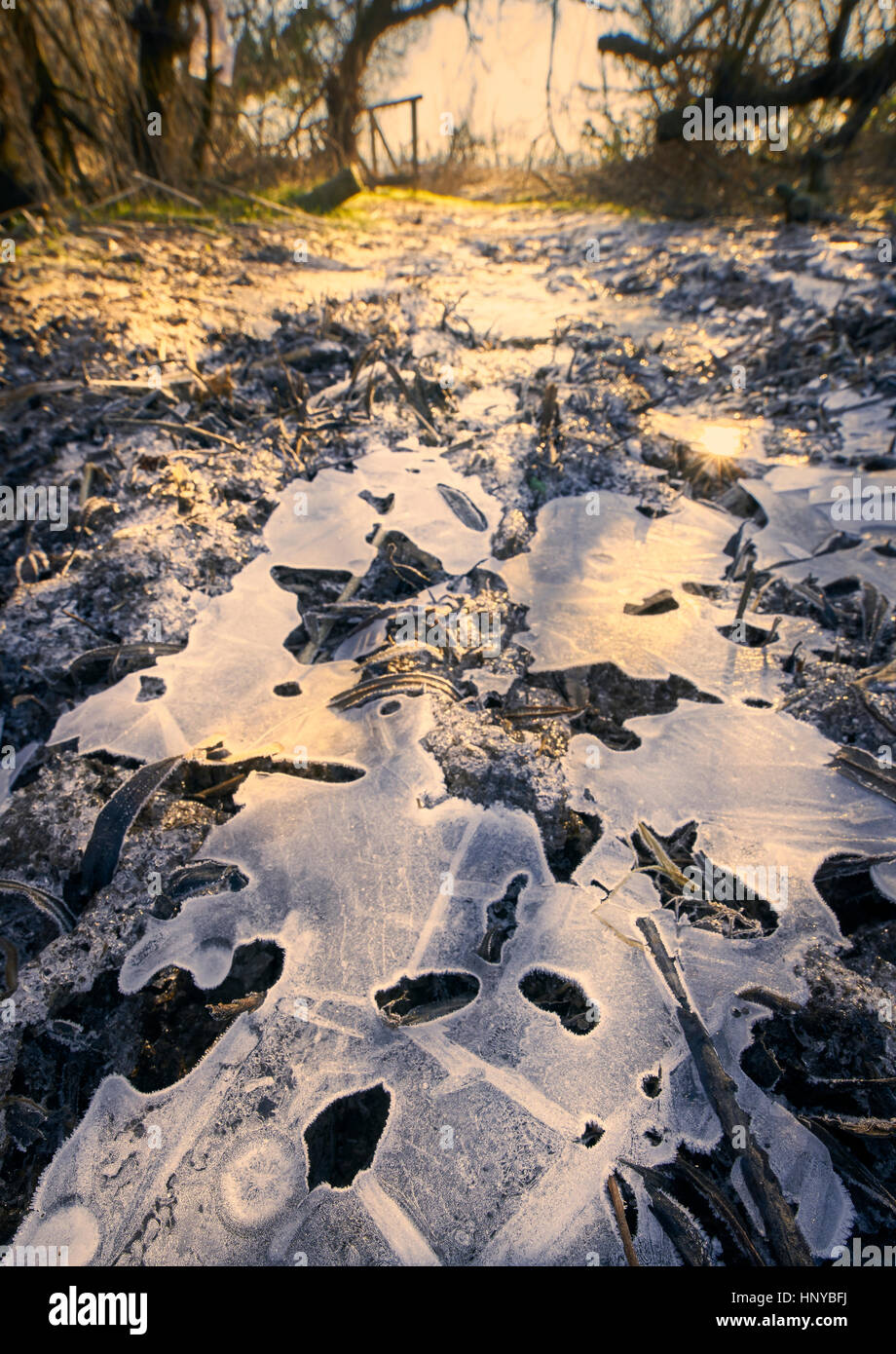 A country footpath frozen with ice in winter Stock Photo
