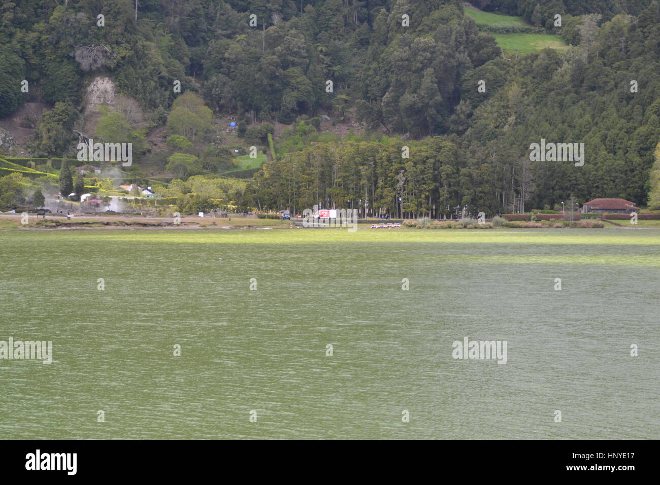 Furnas lake is very calm, light green colour in winter on Azores Sao ...