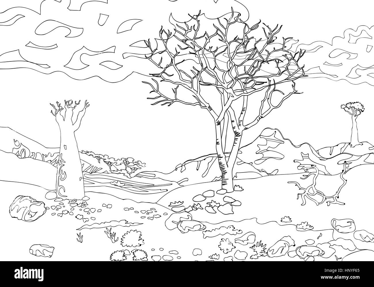 Coloring coloring book for adults. Black and white vector illustration