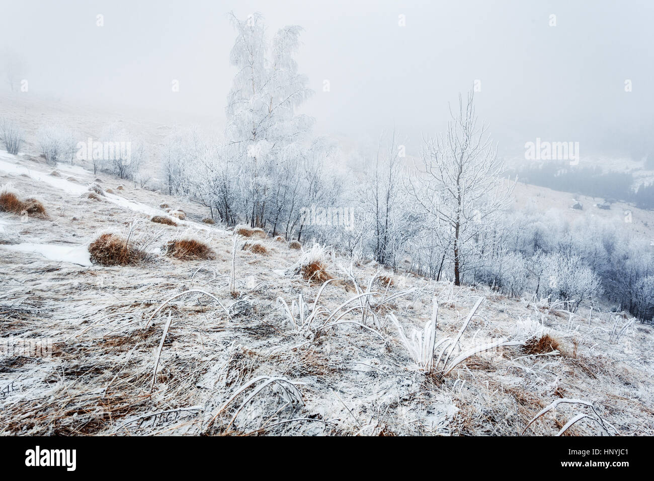 Ukraine. Carpathians. Dzembronya. From the series Frosty morning Stock Photo