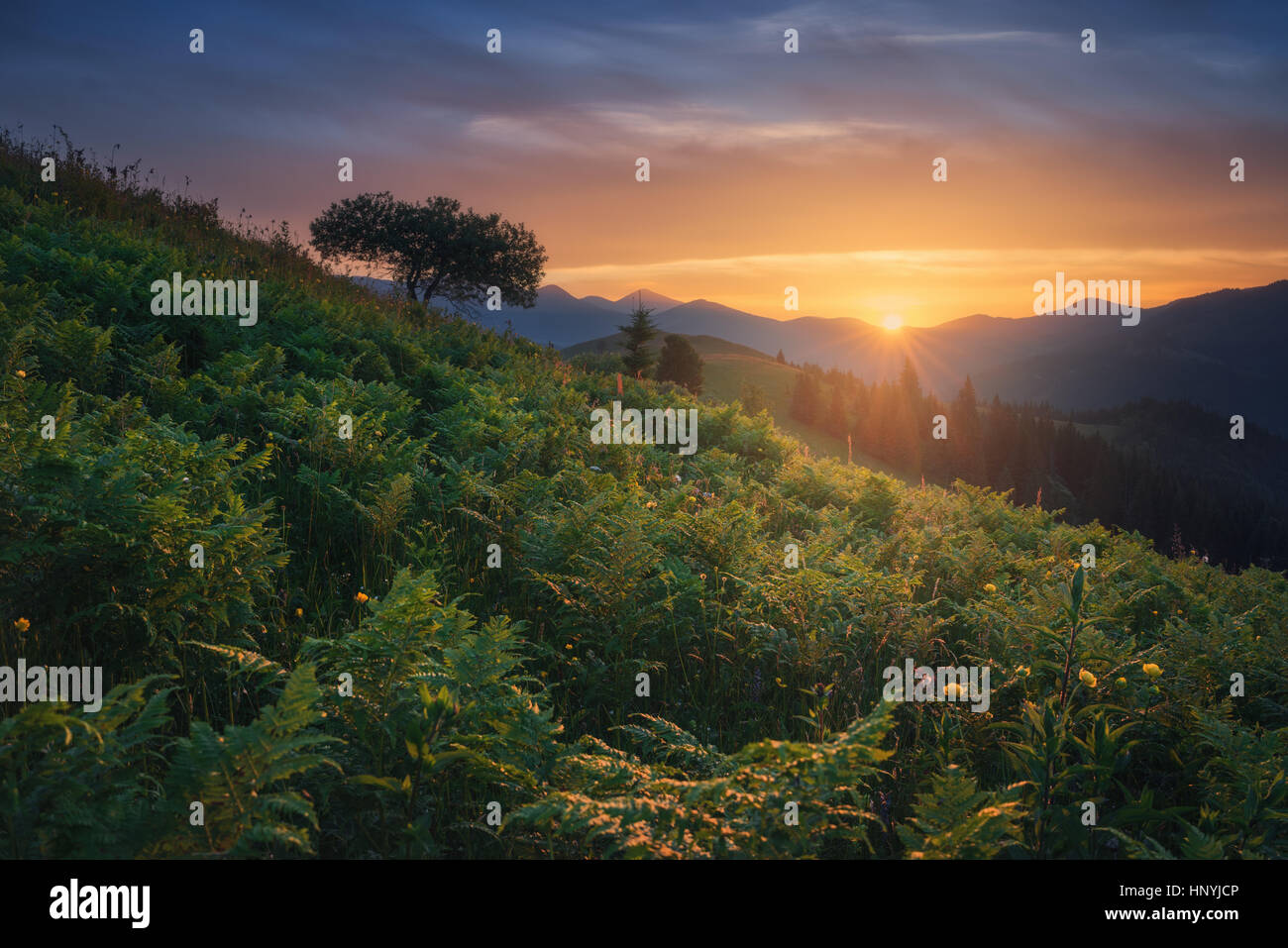 Ukraine. Carpathians. Dzembronya. Sunset at mount Kosarische Stock Photo