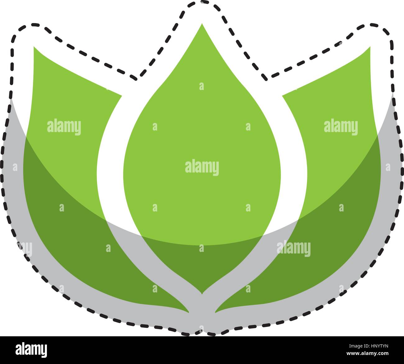 leafs plant isolated icon vector illustration design Stock Vector Image ...