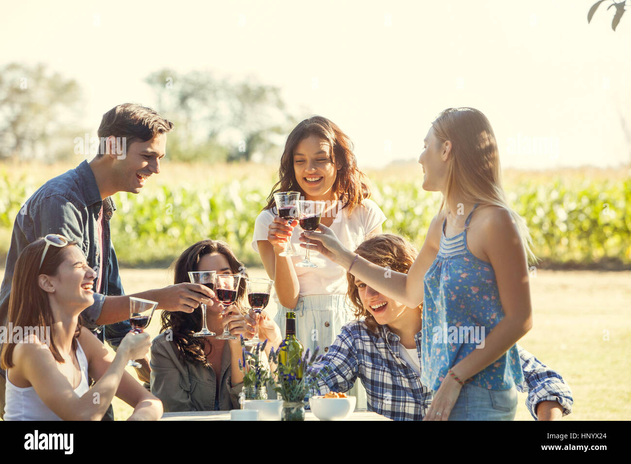 Friends enjoying glass of wine at vineyard Stock Photo