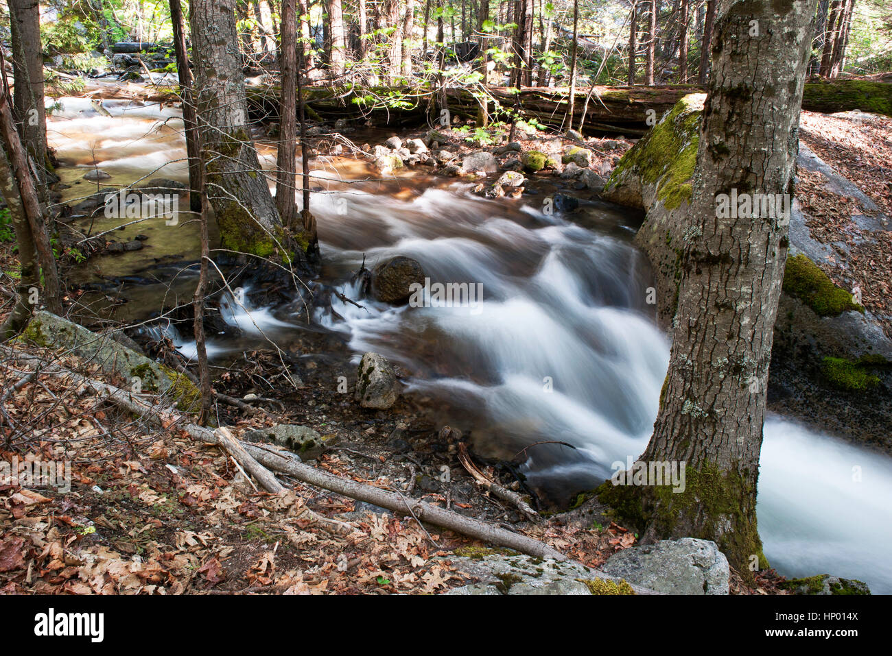 Stream flowing over rocks in forest Stock Photo - Alamy