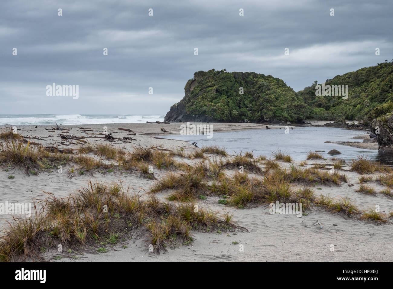 Ship Creek and Kahikatea swamp forest, Haast Highway, South Island, New Zealand Stock Photo Alamy