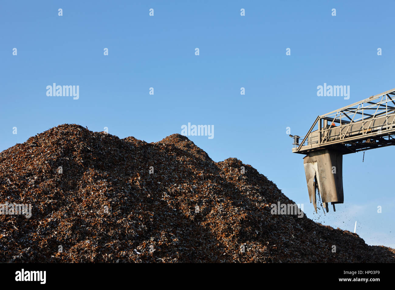processing ferrous metals at metal recycling plant liverpool uk Stock Photo