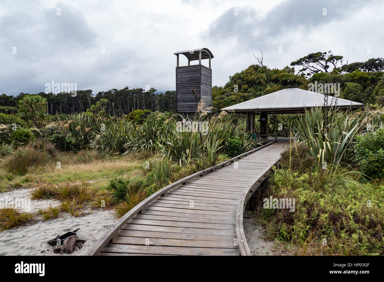 Ship Creek and Kahikatea swamp forest, Haast Highway, South Island, New Zealand Stock Photo Alamy