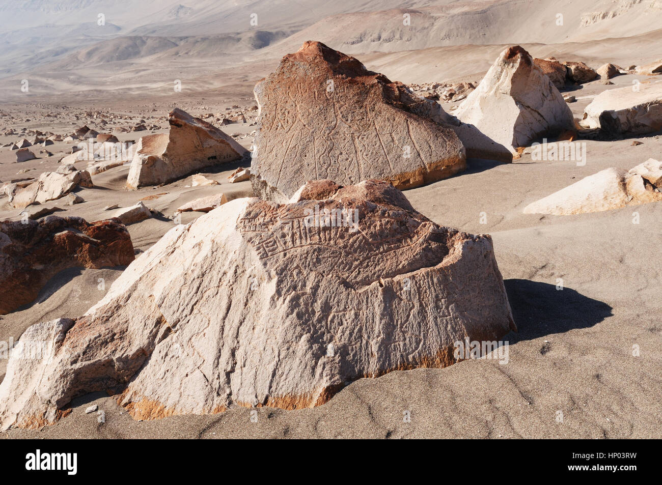 Peru–Toro Muerto Petroglyphs, more than 5000 such petroglyphs of desert ...