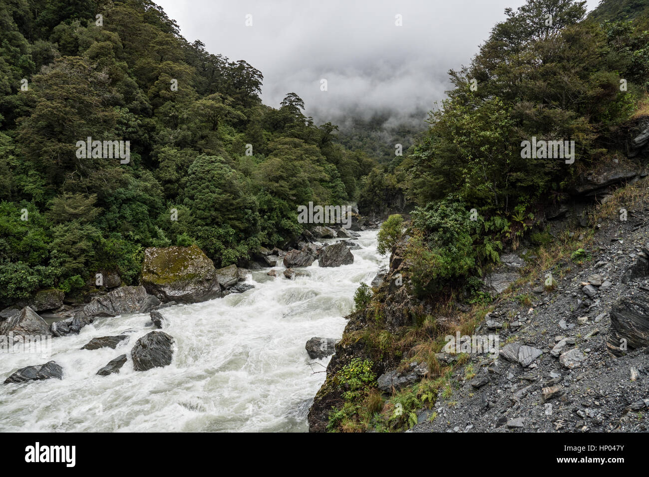 Haast river rapids in Mount Aspiring National Park, South Island, New Zealand. Stock Photo