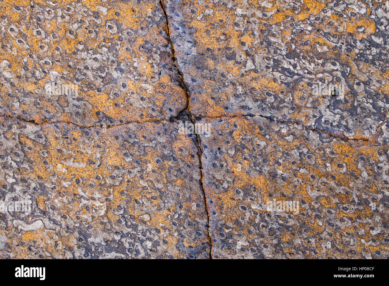 Carboniferous Rocks with regular indentations at Scremerston, Berwick Upon Tweed, Northumberland, England Stock Photo
