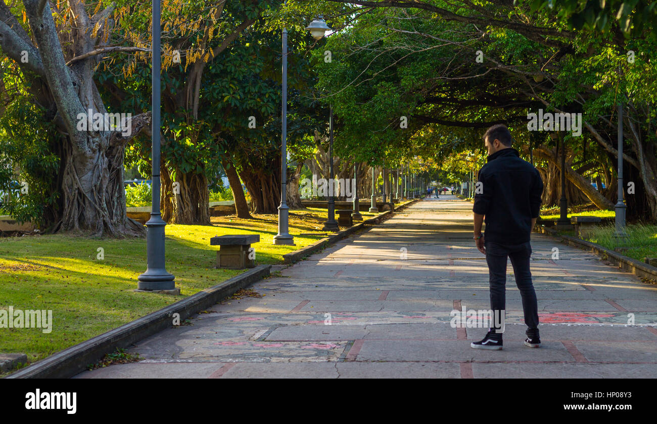 Guy at a park Stock Photo