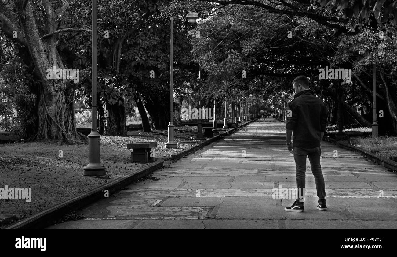Park green grass lawn Black and White Stock Photos & Images - Alamy