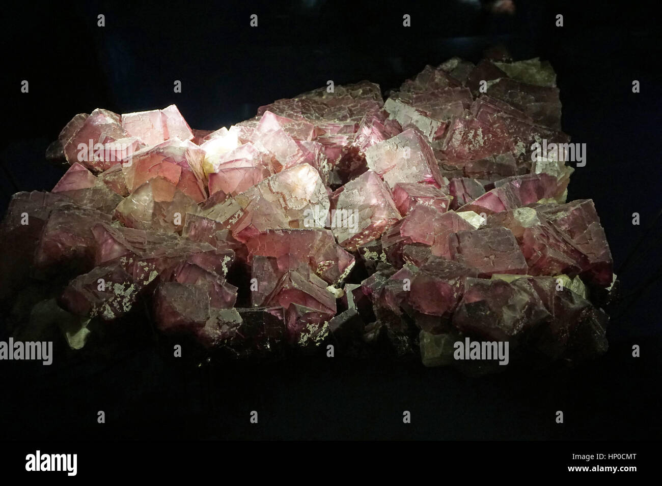 Mineral Stone Museum of Natural History Leiden Netherlands Stock Photo
