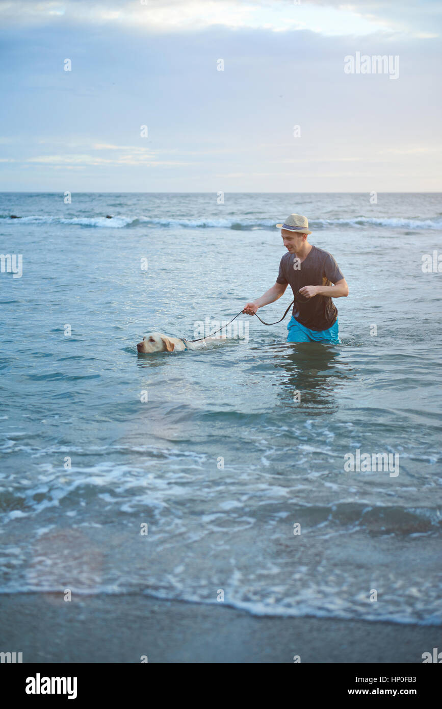 Man with labrador dog in beach ocean water. Man walking in sea water with labrador dog Stock Photo