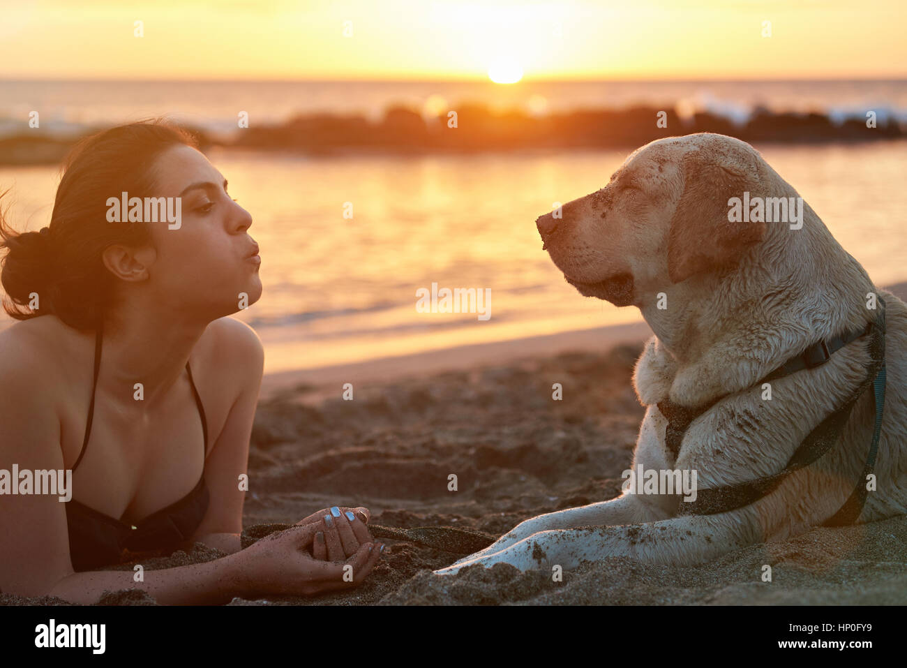Girl blowing in dog nose laying on ocean beach with sunset Stock Photo