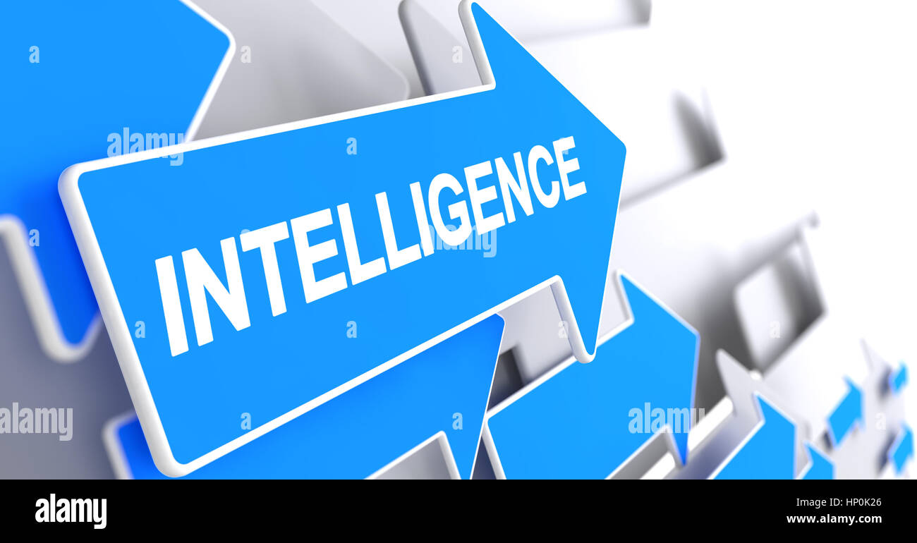 Intelligence - Text on Blue Pointer. 3D. Stock Photo