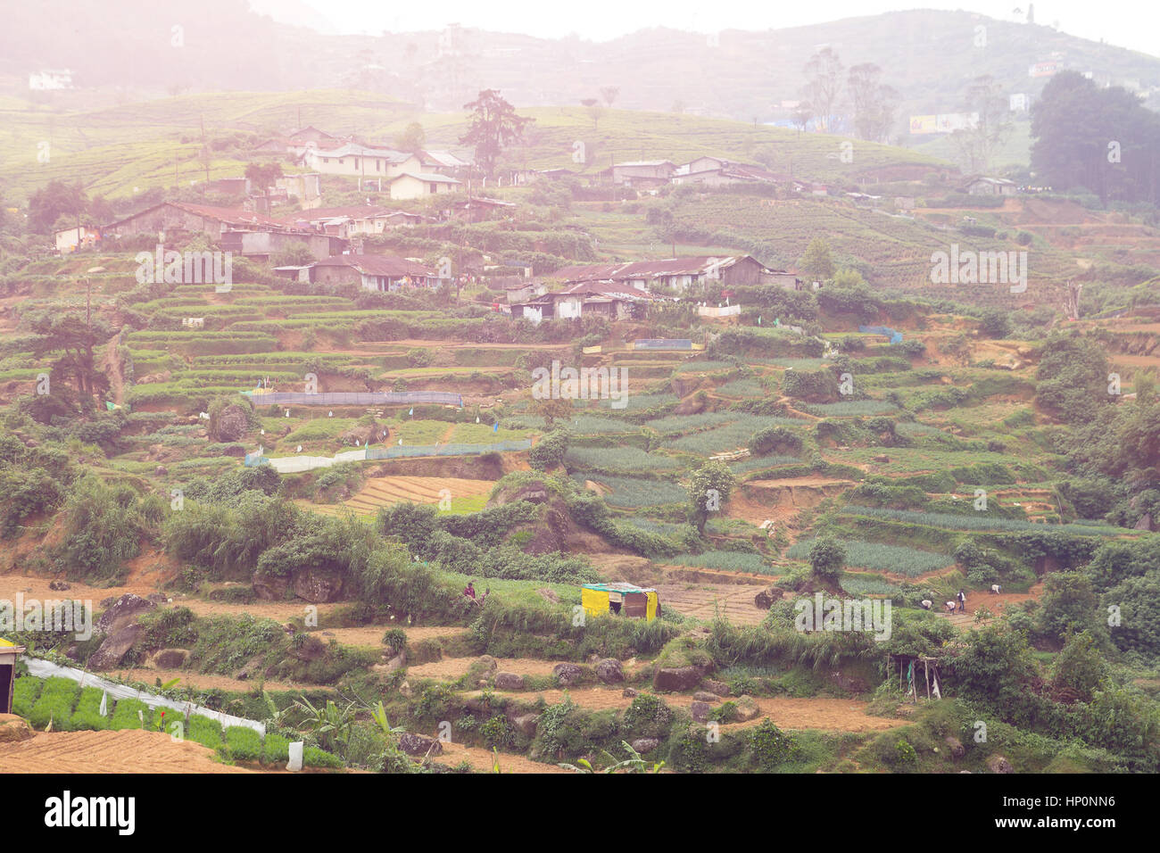 sri lanka rural countryside Stock Photo - Alamy
