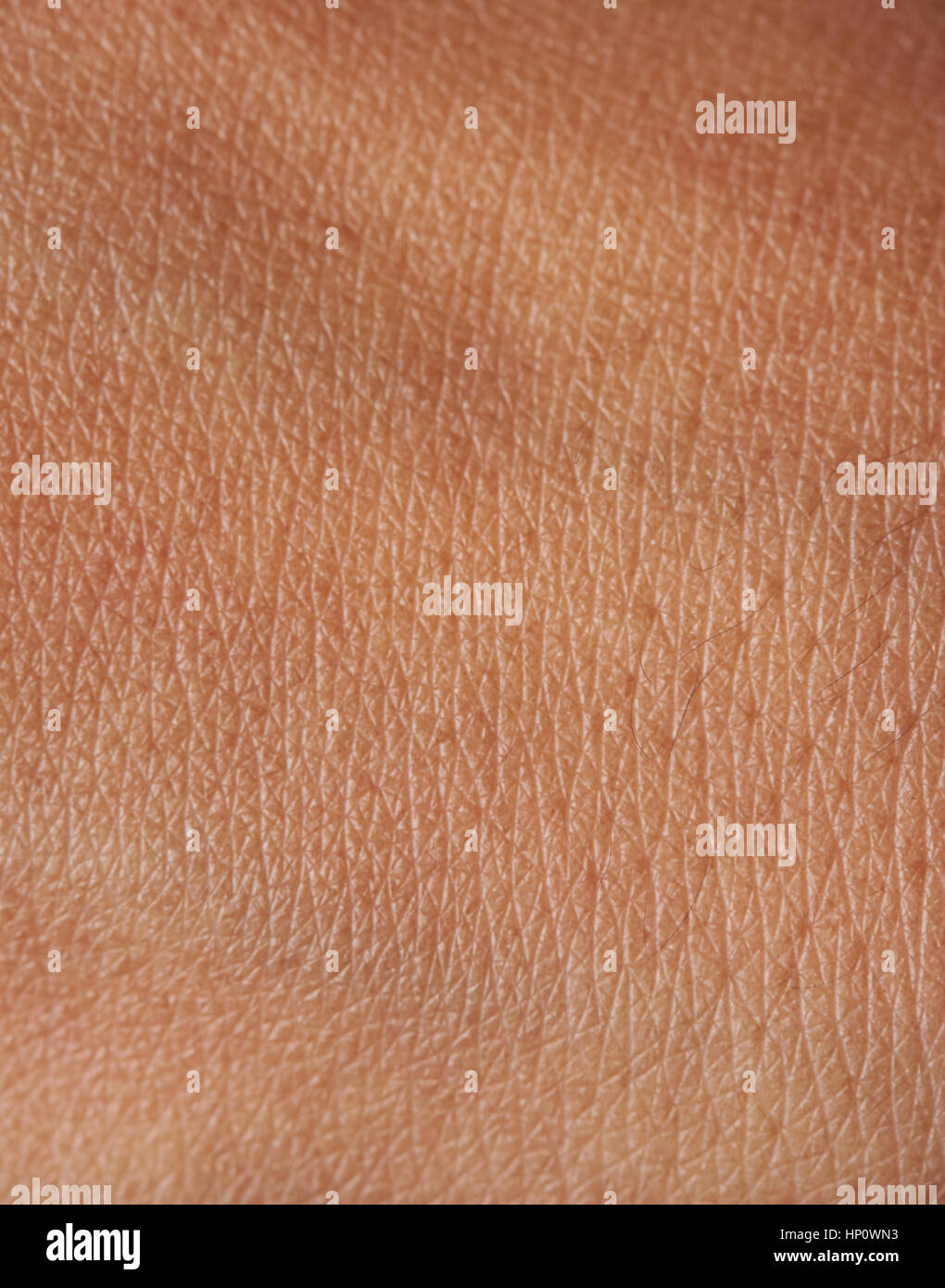 Pores and lines on human dark brown girl skin closeup Stock Photo