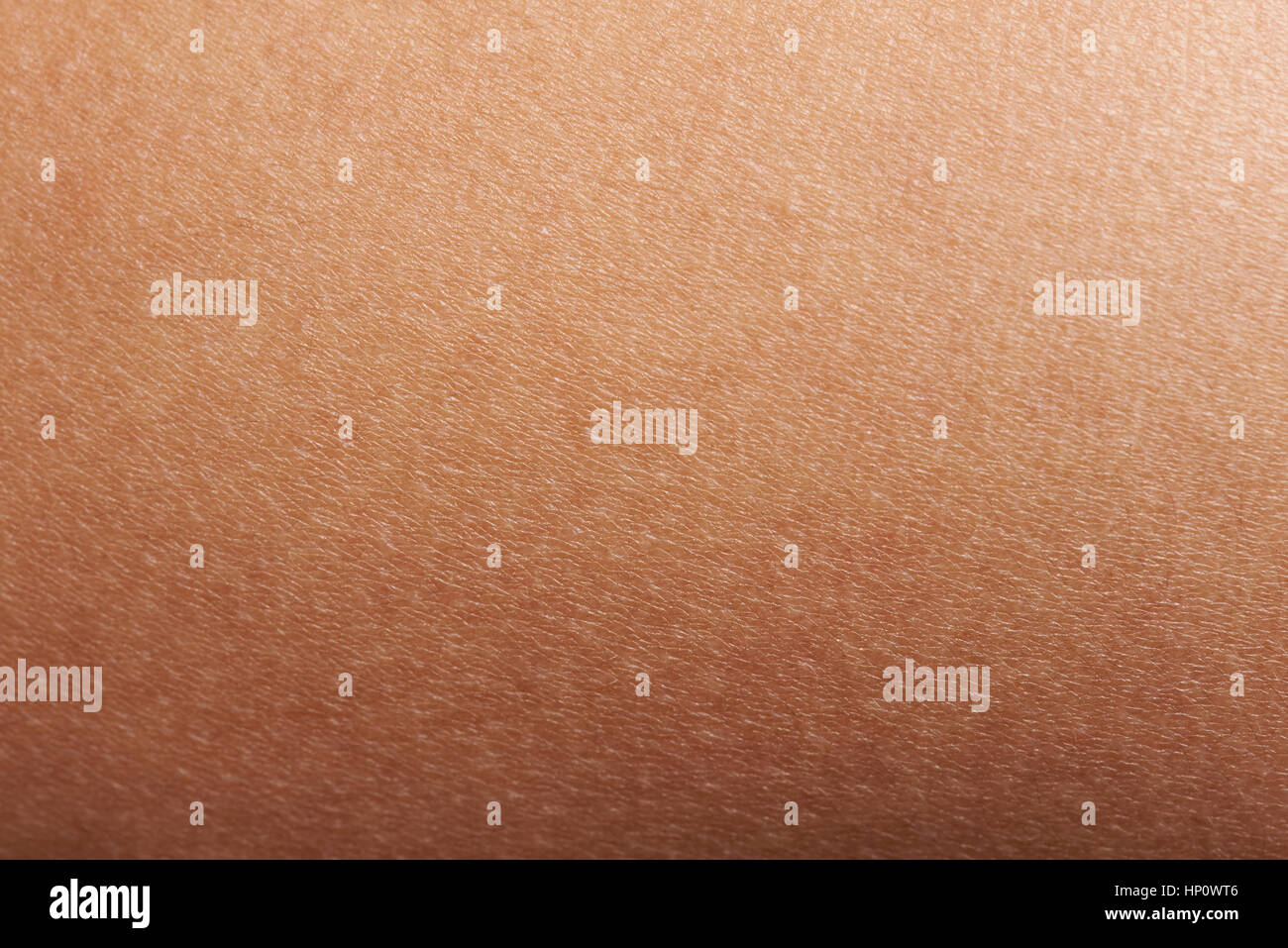 up texture of human skin with pores stock photo royalty free image 133633105 alamy pores human stock photos pores human stock images alamy up texture of human skin with pores stock photo royalty free image 133633105 alamy pores human stock photos pores human stock images alamy