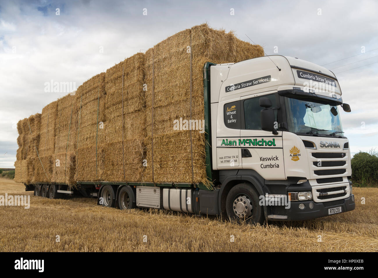 Lorry and Trailer Transporting Straw Bales Stock Photo Alamy