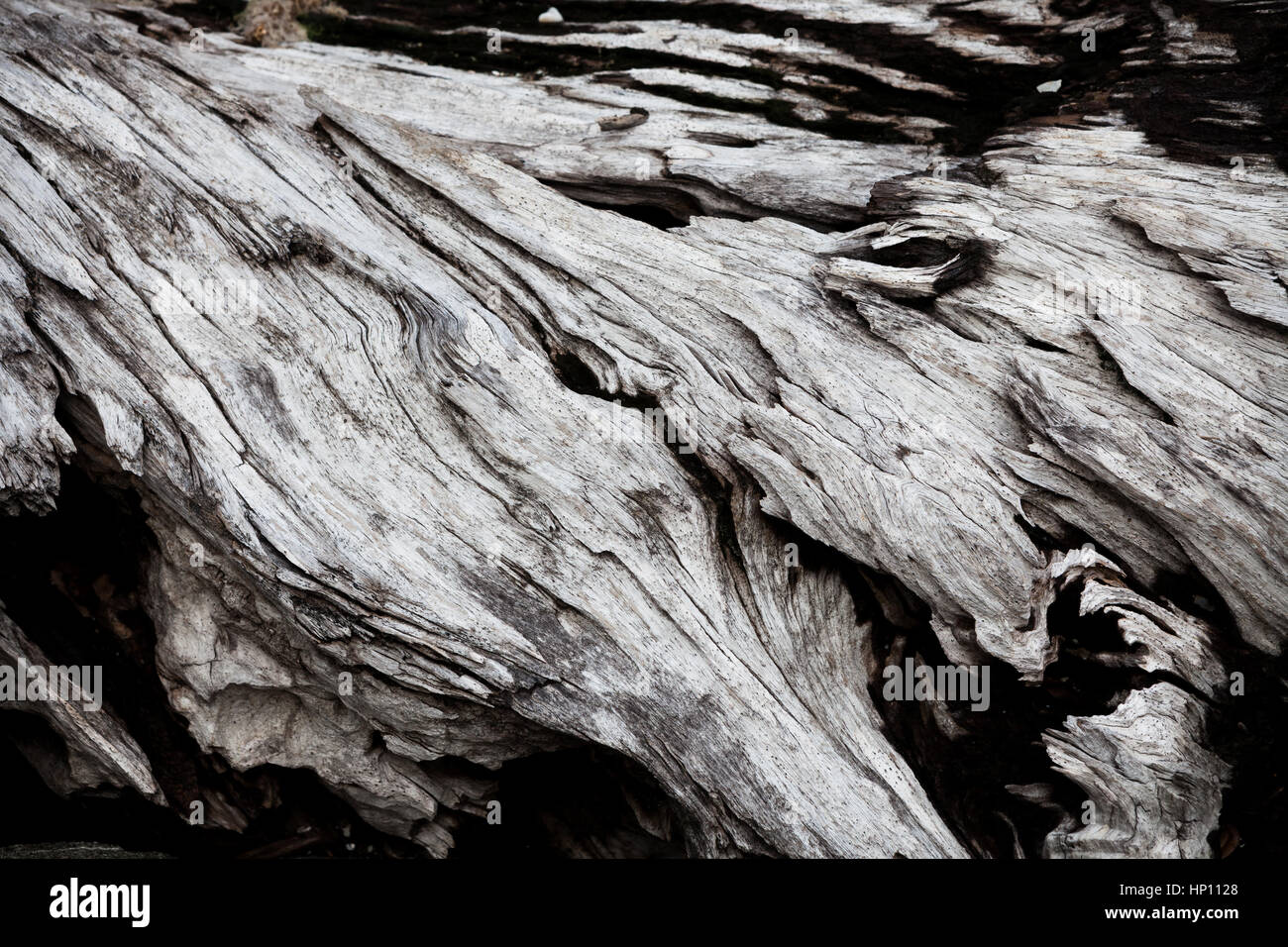 Driftwood structure hi-res stock photography and images - Alamy