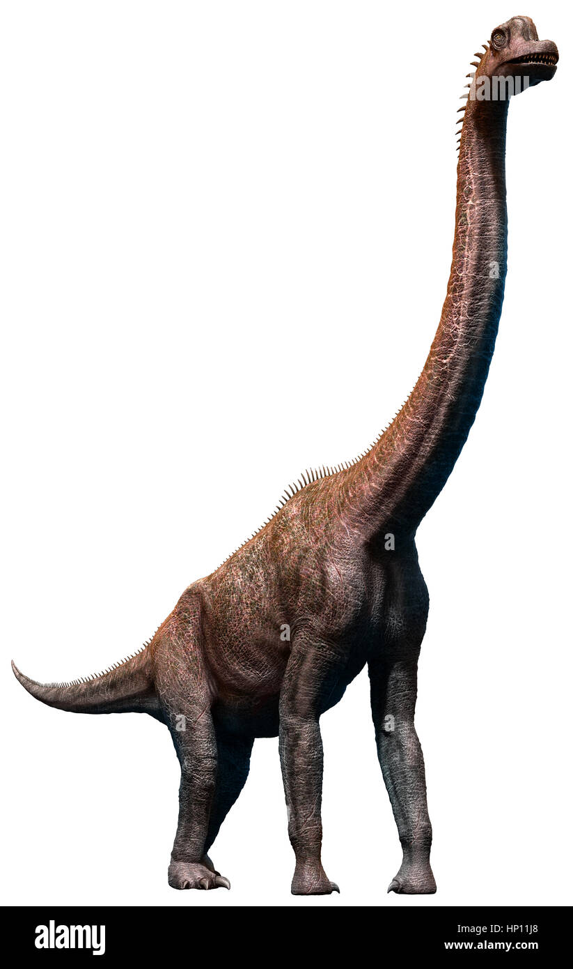 Brachiosaurus Stock Photo