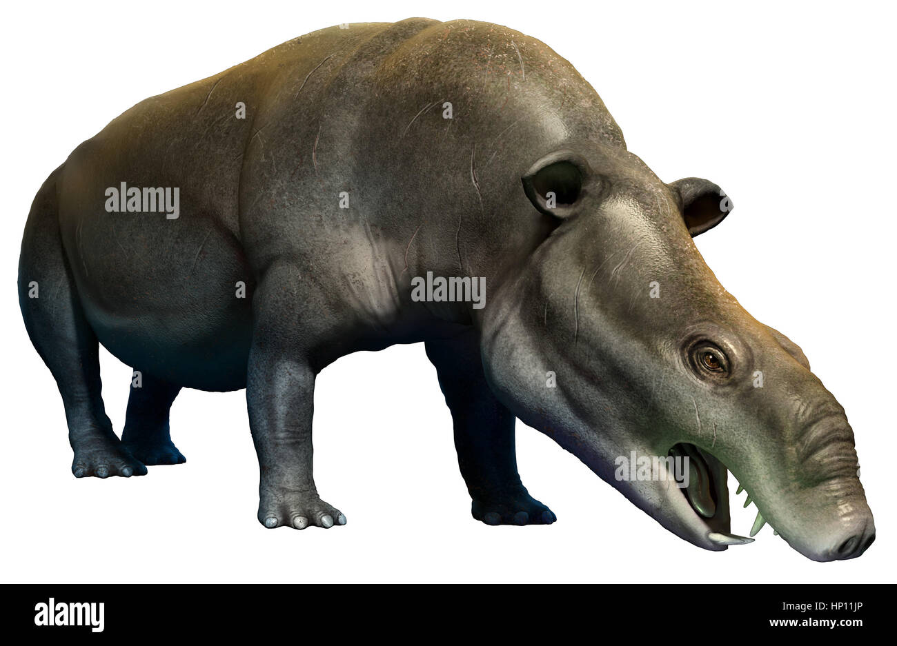 Moeritherium Stock Photo Alamy
